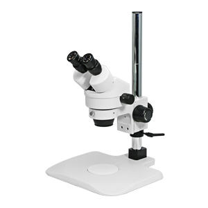 Stereo Microscope